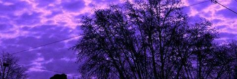 Rodriguez_Ro00's profile banner image