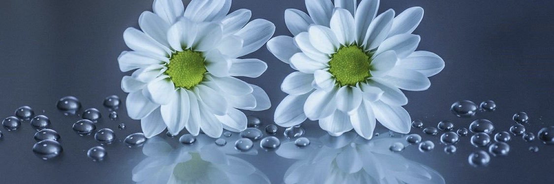Mz_Lyra's profile banner image