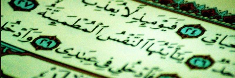 Mo_Ibrahim__'s profile banner image