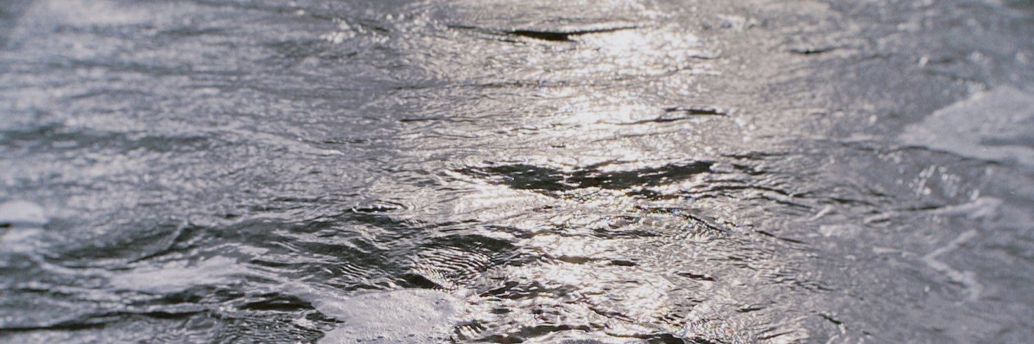 __mariarojo's profile banner image