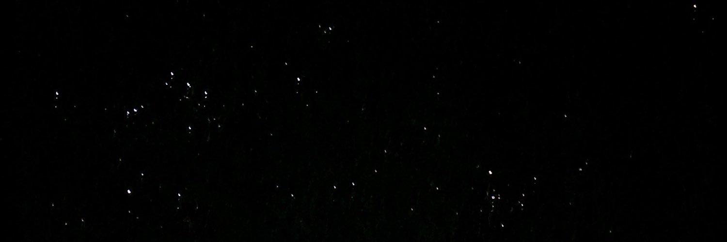 Rawabi's banner