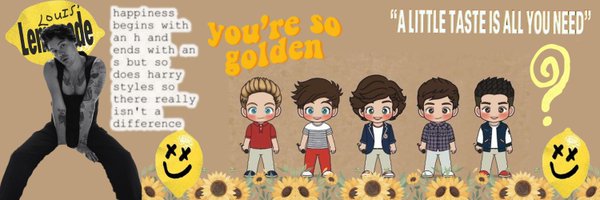 HarryMeAndLouis Profile Banner