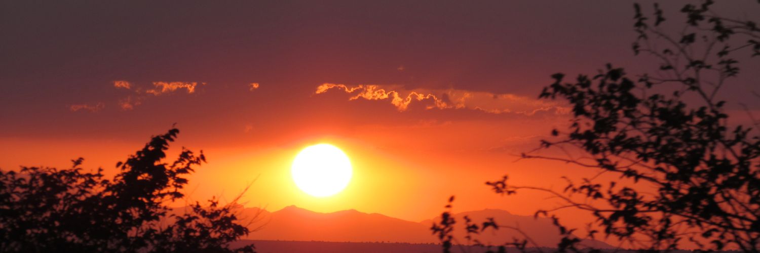 CarolinaUser_'s profile banner image