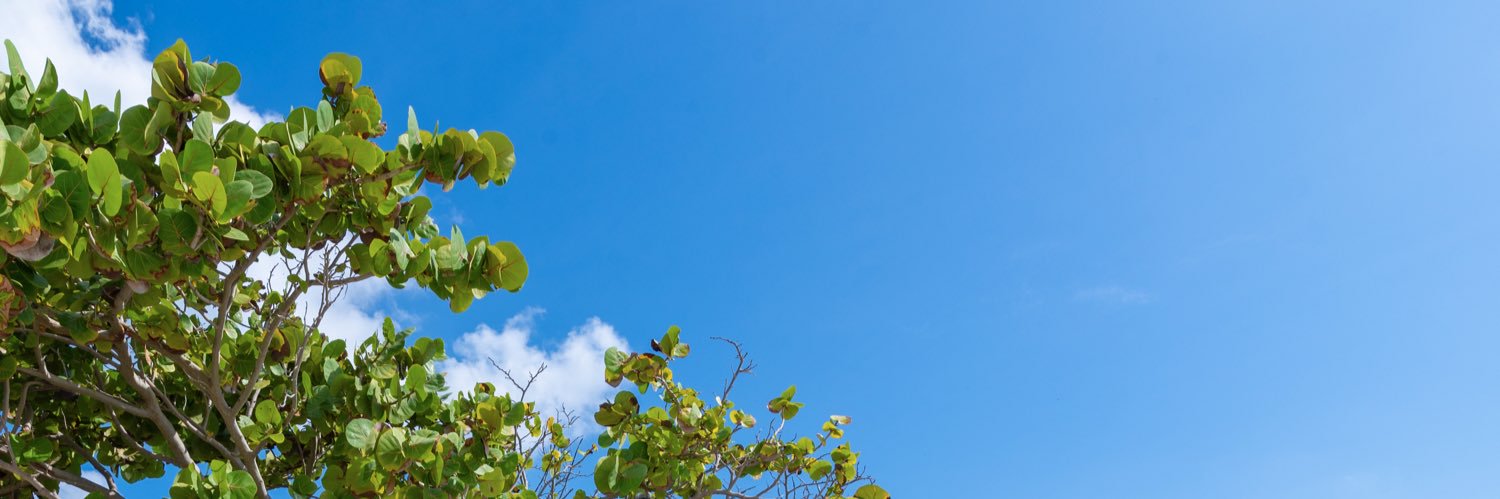 minory_t's profile banner image