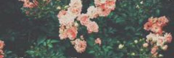 Lumila96's profile banner image
