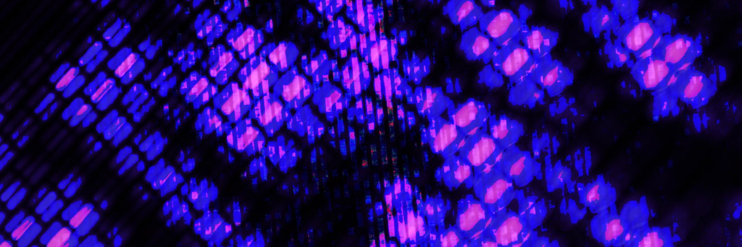 ethanling's profile banner image