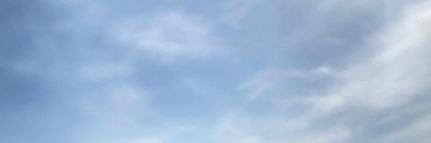 Tugceildy1's profile banner image