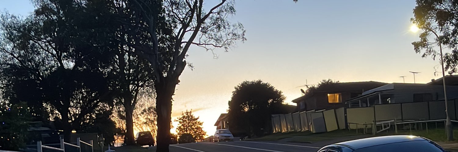 Paridokht Azima banner