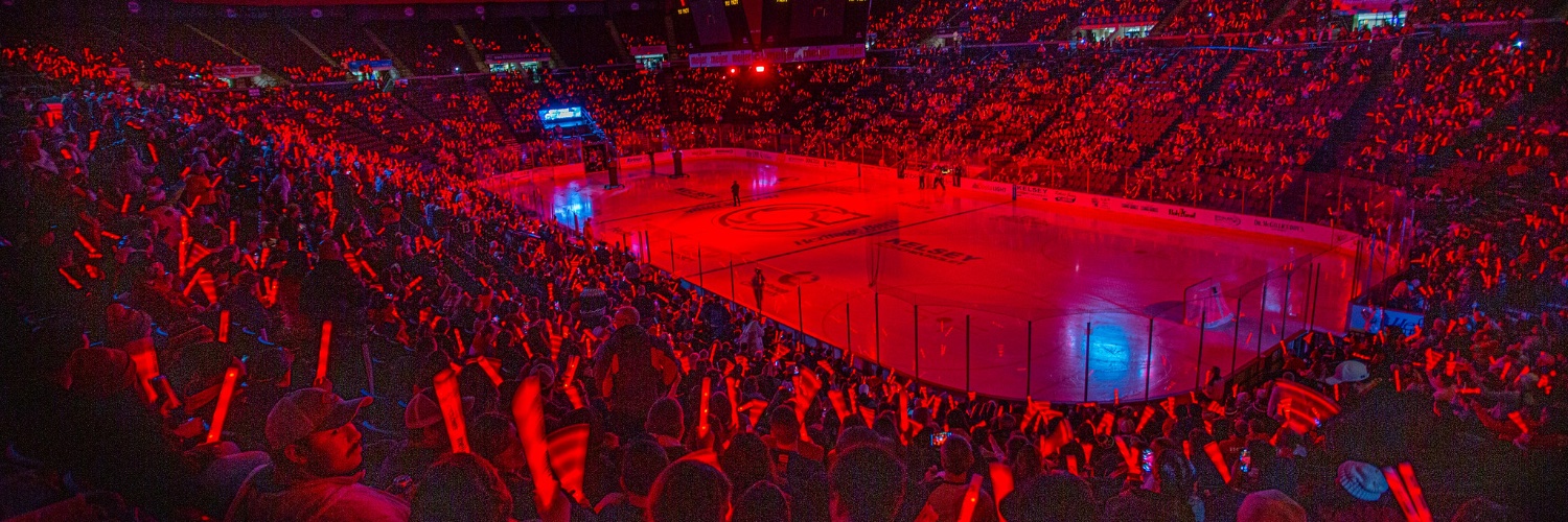 Cincinnati Cyclones banner