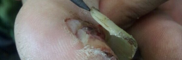 macchan_macchan Profile Banner