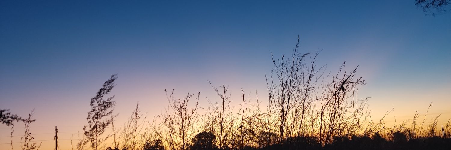 milagrosflopes's profile banner image