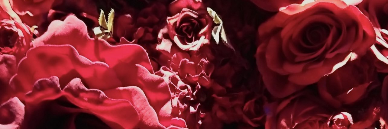AYANo7l0's profile banner image