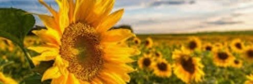 jsdeppe's profile banner image