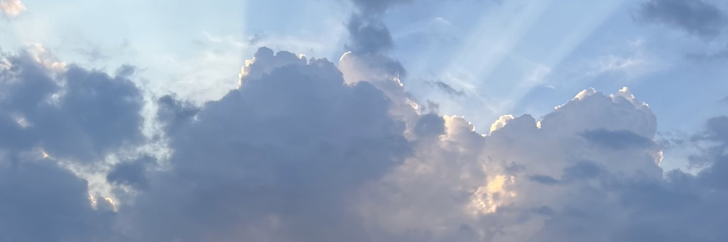 🍁 banner