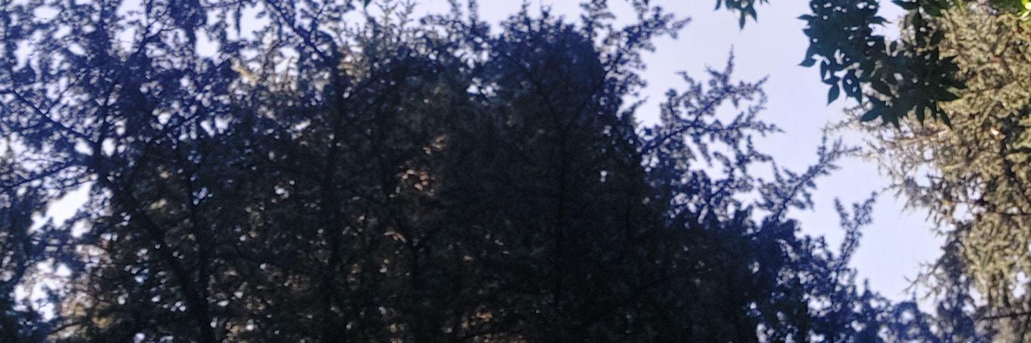 Mervemrrv's profile banner image