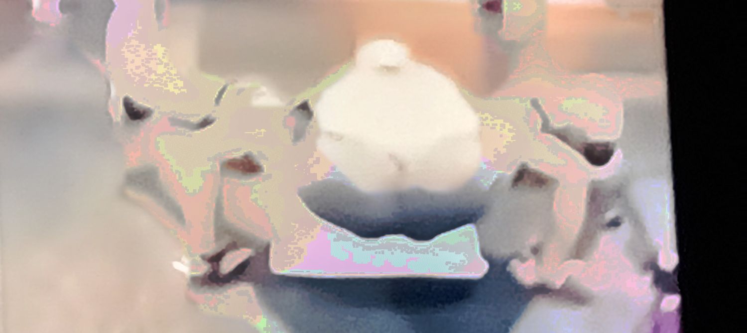 rockgrub banner