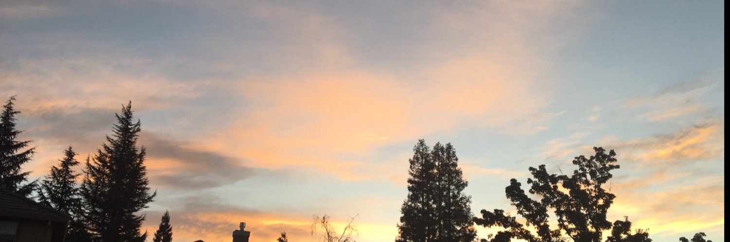 PTCquest79's profile banner image
