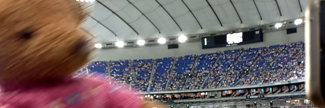ikementeddybear's profile banner image
