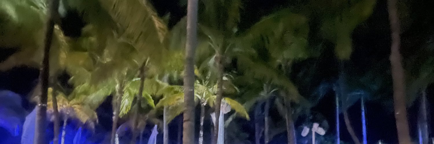 Alexsa Pagalidis banner