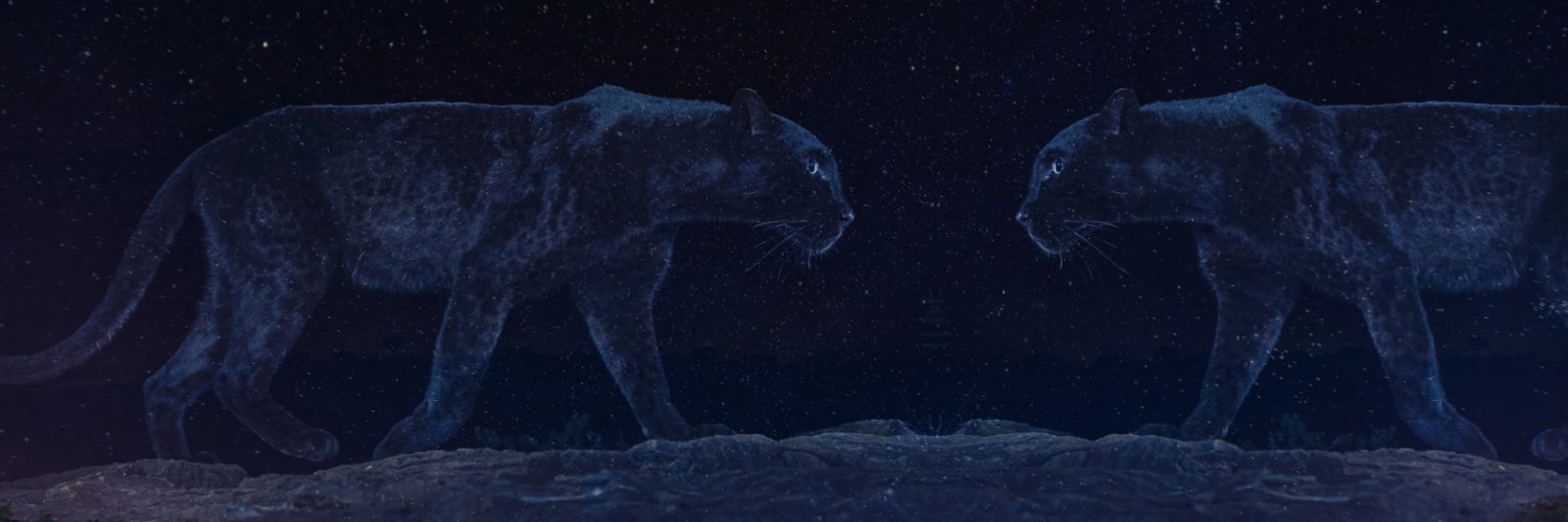 Michèle du Toit banner