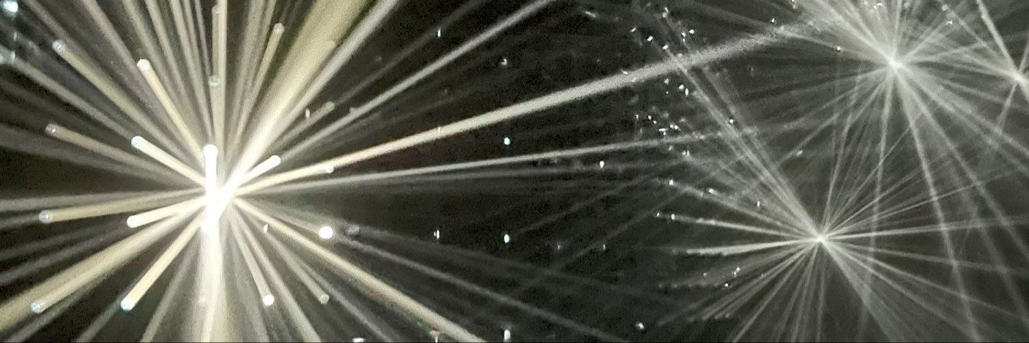 lolyishere0's profile banner image