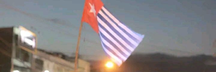 Samina banner