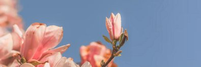 AmberDe64340863's profile banner image
