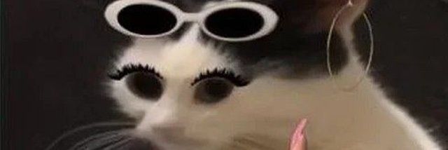 tinashon1's profile banner image