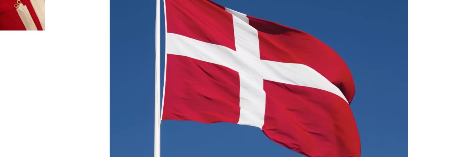 Birger Risgaard Mortensen banner