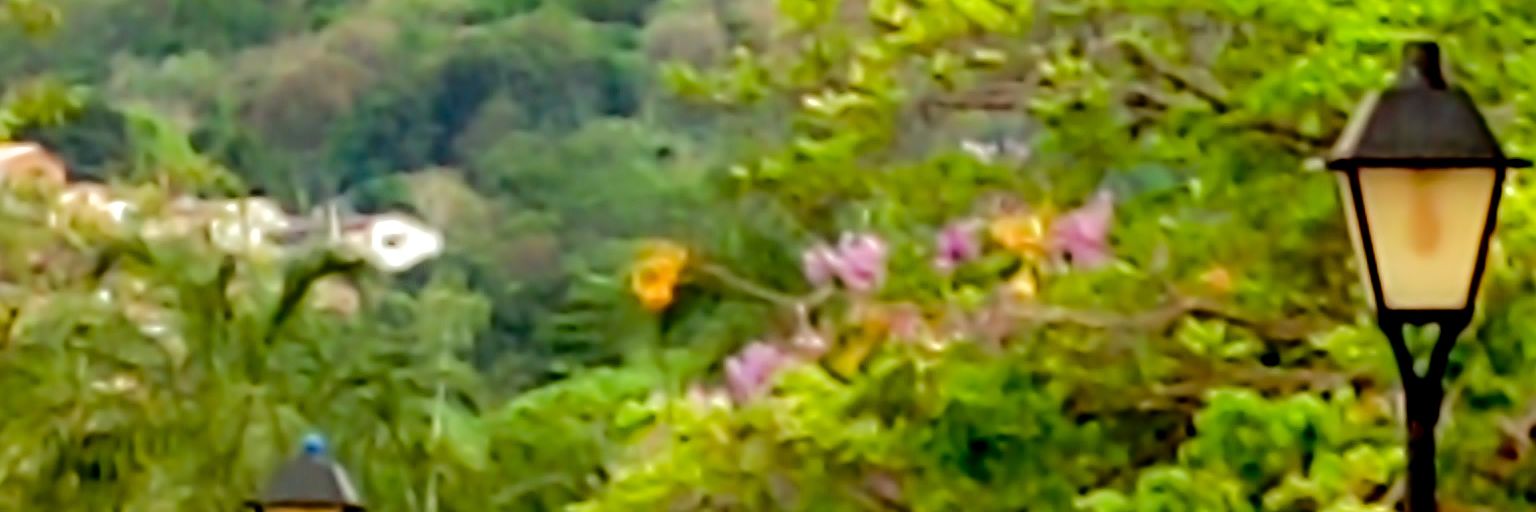 AdvogadaGarces's profile banner image