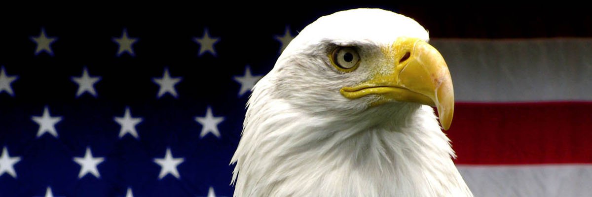 EhrieCarlier's profile banner image