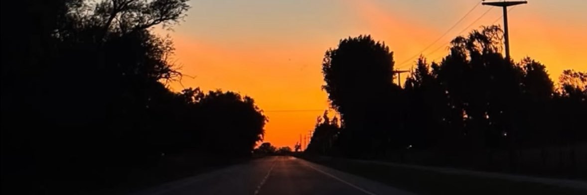 LozanoDelfi's profile banner image