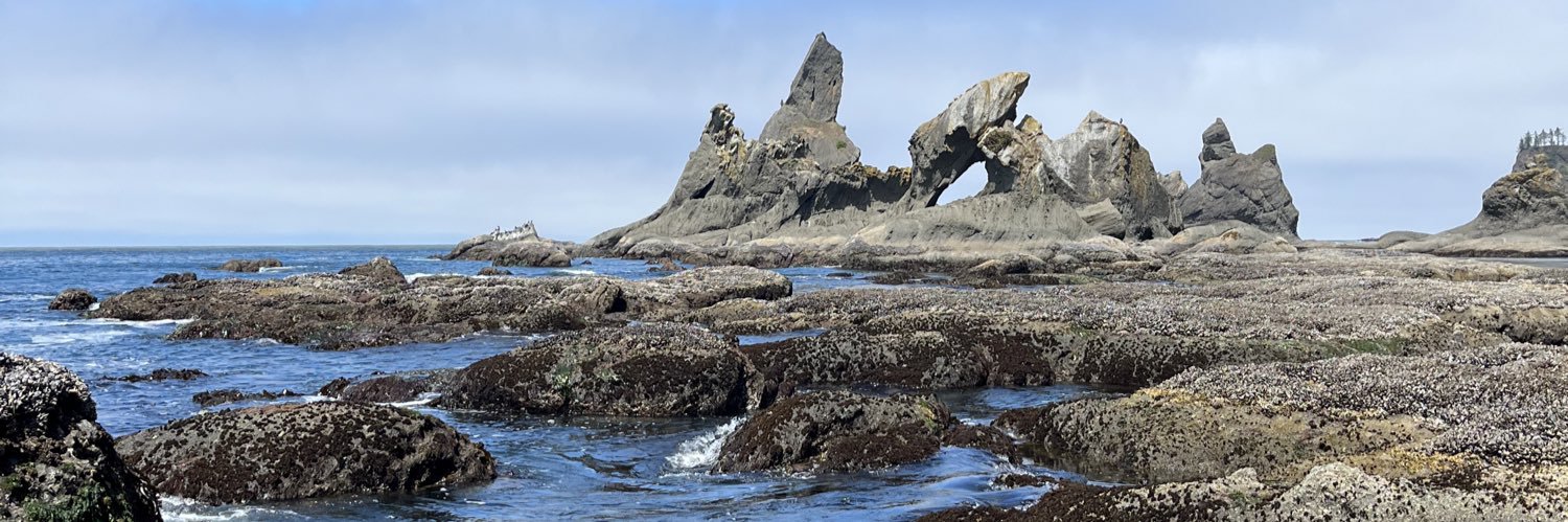 Maddie Tanda 🌊 banner