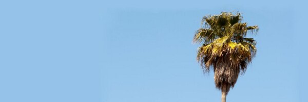 Monkey_Keyboard Profile Banner