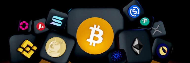 CryptooDudee's profile banner image