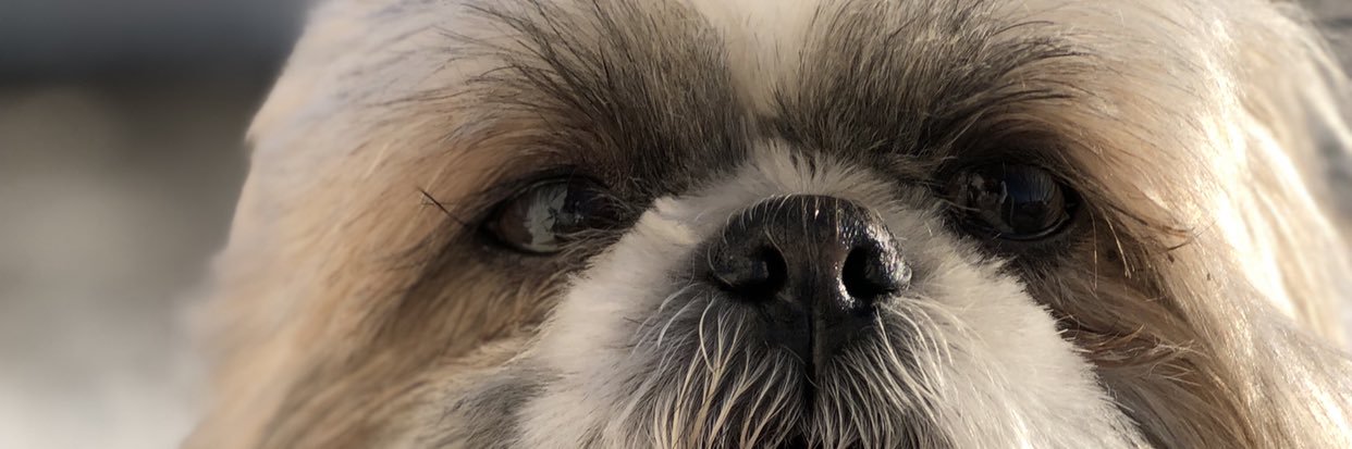 Bredom27's profile banner image