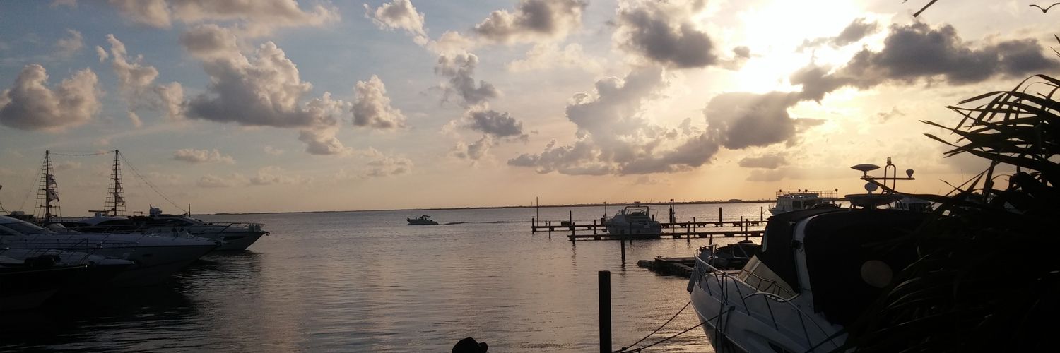 DCarogmz's profile banner image