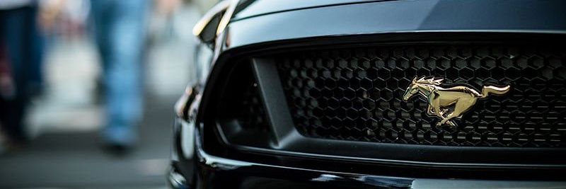 dani_sb23's profile banner image