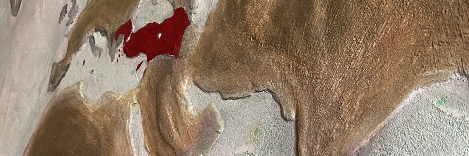 DMertTupuz's profile banner image