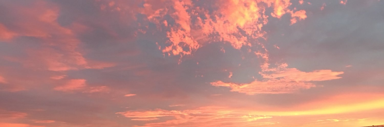 lilphillycheez's profile banner image