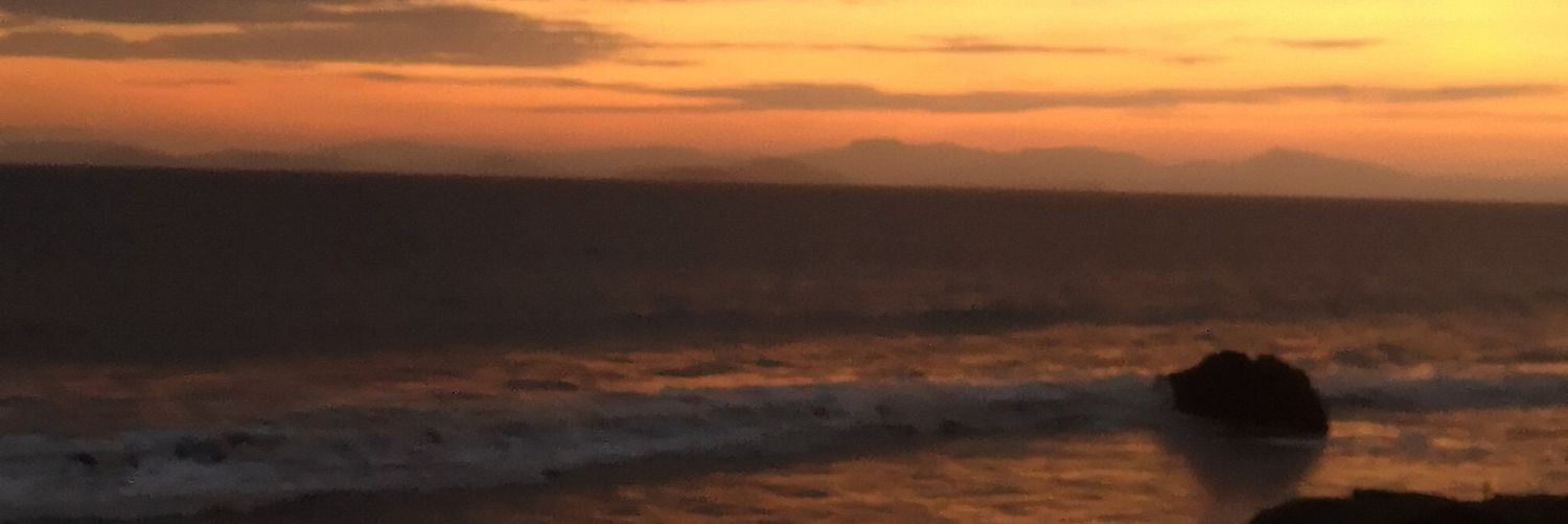 Erick Vargas Chaves banner