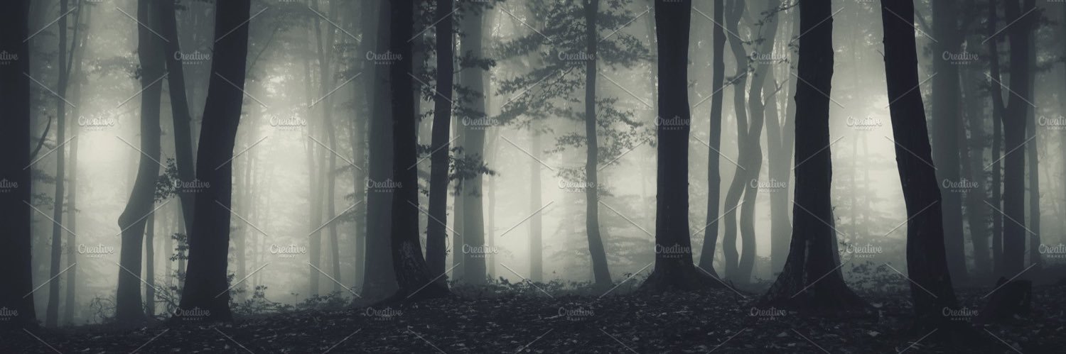 PineBarrensLegend banner