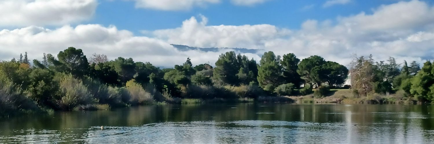 SalCartSmi's profile banner image