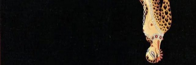 ninhaas_'s profile banner image