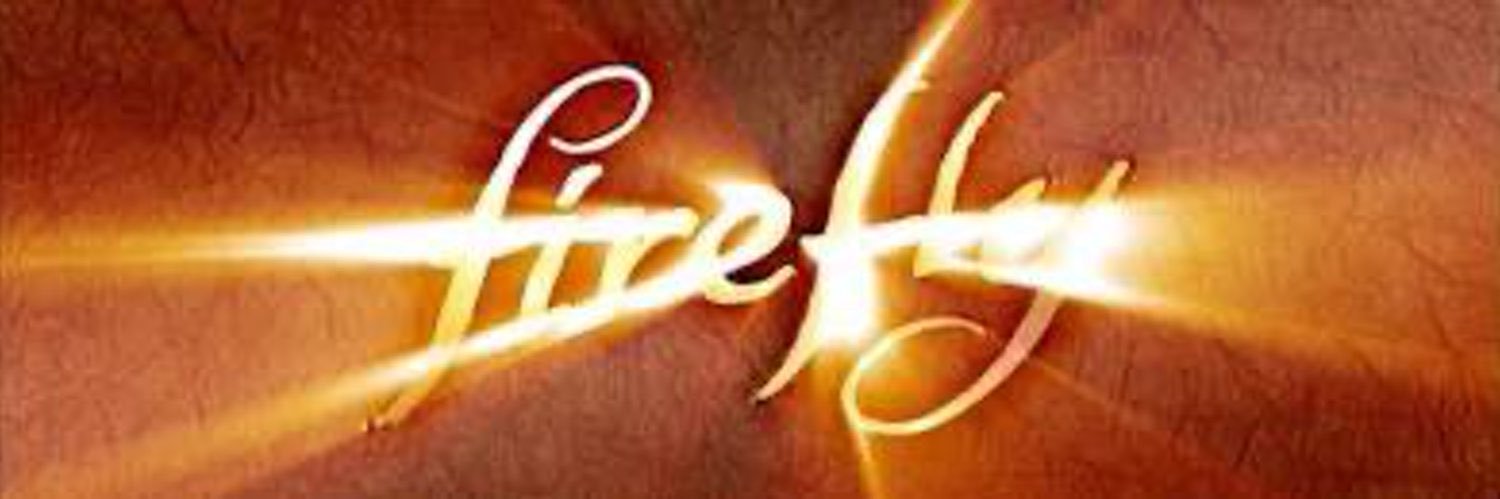 Mary Jo Hollister banner