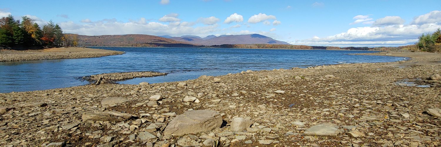 Mercer Carlin banner