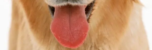maidouer1069's profile banner image