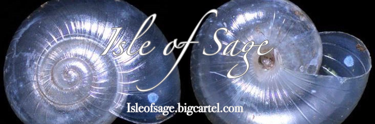 🐚IG: @tthasage's banner