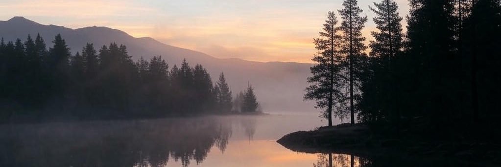 Casual Observer banner