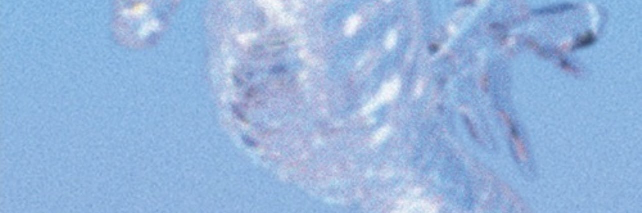 ℜ banner